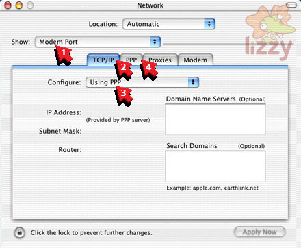 Network preferences TCP/IP. 