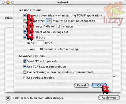 Network preferences PPP Options. 