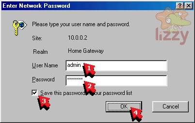 Enter Network Password window. 